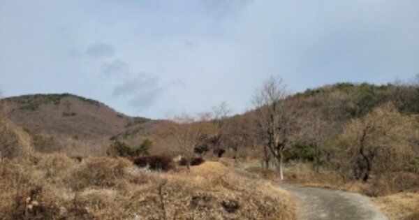 울산광역시 울주군 두서면 인보리 OOO 임야 경매 물건 이미지