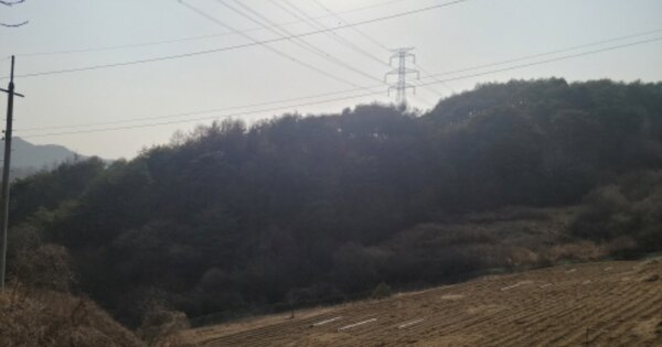 경상북도 봉화군 명호면 삼동리 OOOO 임야 경매 물건 이미지