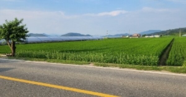 경상북도 안동시 풍천면 기산리 OOO 답 경매 물건 이미지