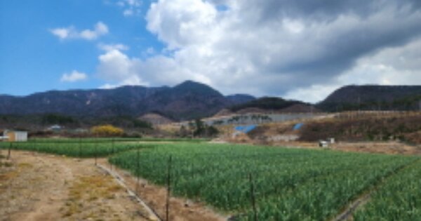 울산광역시 북구 중산동 OOOOO O OOO 답 경매 물건 이미지
