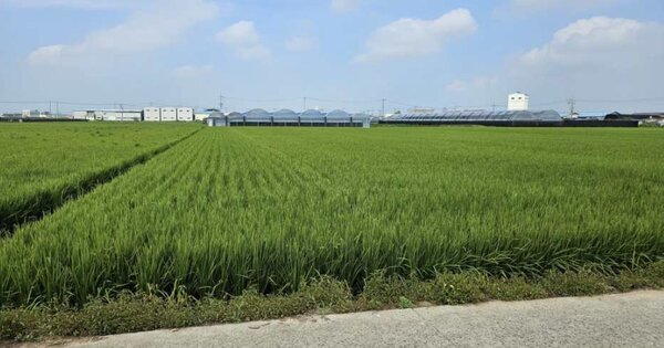충청남도 천안시 서북구 성환읍 안궁리 OOOOO 답 경매 물건 이미지