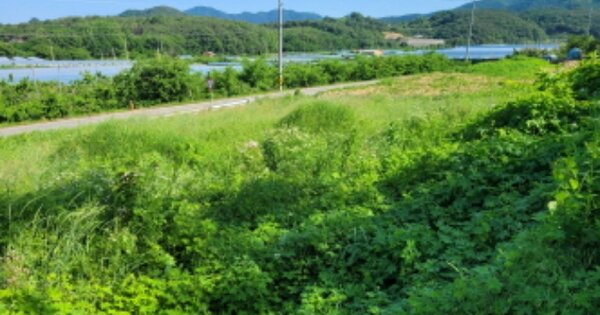 경상북도 경산시 남산면 상대리 OOOO 전 경매 물건 이미지