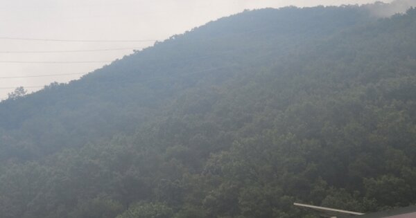 경상북도 경산시 남천면 하도리 OOO 임야 경매 물건 이미지