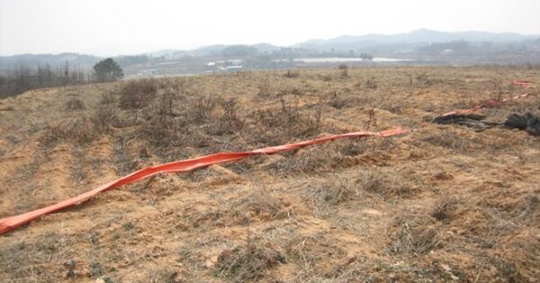 경상북도 예천군 호명면 송곡리 OOOOO 전 경매 물건 이미지