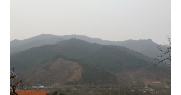 전라남도 구례군 간전면 운천리 OOO O OOO 임야 경매 물건 이미지