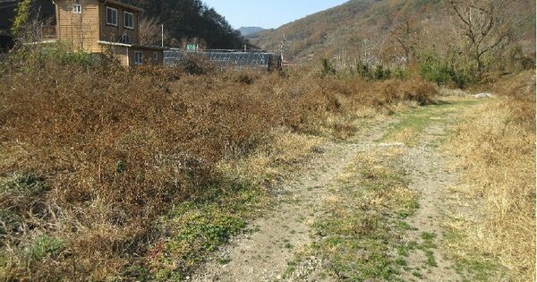 경상남도 밀양시 단장면 구천리 OOO O OOO 전 경매 물건 이미지