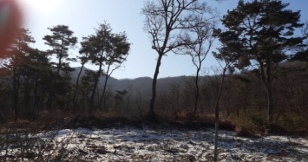 인천광역시 강화군 삼산면 석포리 OOOOO 전 경매 물건 이미지