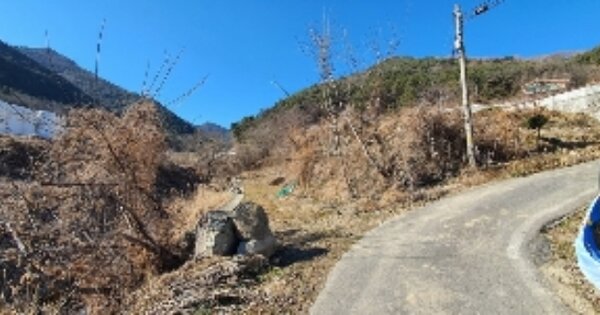 경상남도 함안군 군북면 하림리 OOO 답 경매 물건 이미지
