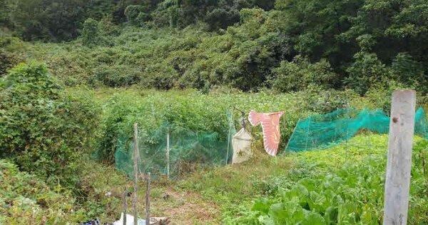 울산광역시 북구 무룡동 OOO 전 경매 물건 이미지