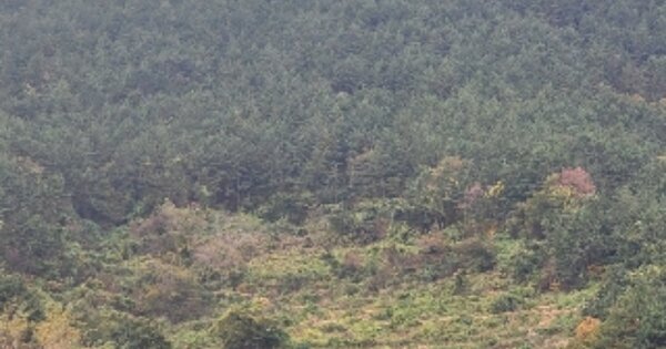 경상남도 거제시 사등면 사등리 OOOO 답 경매 물건 이미지