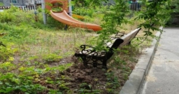 경기도 광주시 오포읍 양벌리 OOOOO O OOO 답 경매 물건 이미지