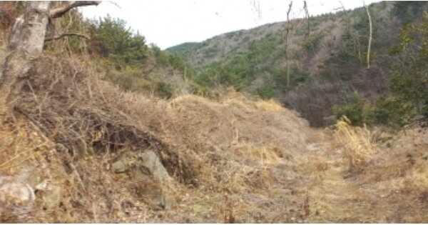 경상남도 거제시 동부면 산촌리 O 전 경매 물건 이미지