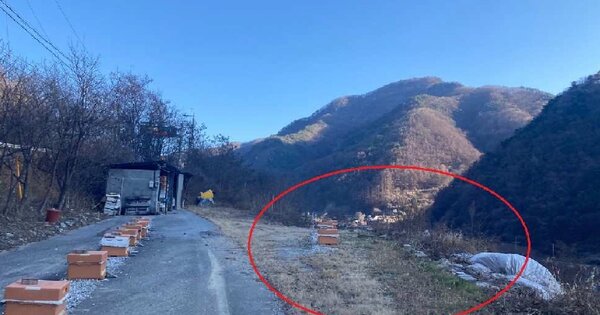 충청북도 단양군 대강면 용부원리 OOOOO 전 경매 물건 이미지