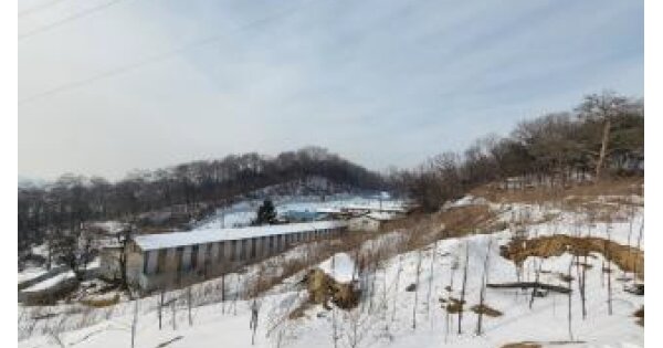 충청북도 제천시 송학면 도화리 OOOO O OOO 전 경매 물건 이미지