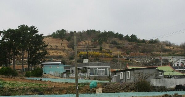 전라남도 여수시 돌산읍 우두리 OOOOO 임야 경매 물건 이미지