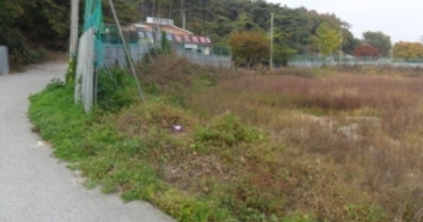 전라북도 부안군 변산면 대항리 O O OOO 답 경매 물건 이미지