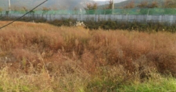 전라북도 부안군 변산면 대항리 OOO 답 경매 물건 이미지