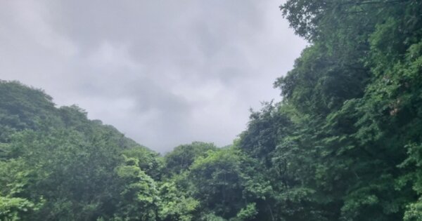 경기도 가평군 청평면 호명리 OOO 임야 경매 물건 이미지