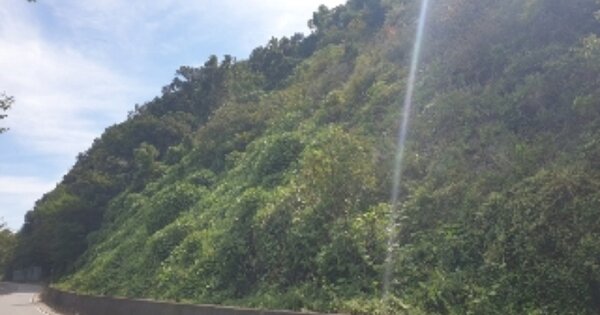 충청북도 충주시 앙성면 영죽리 OO 임야 경매 물건 이미지