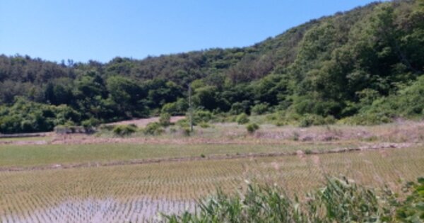 경상남도 고성군 동해면 외산리 OOO 답 경매 물건 이미지