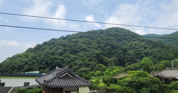 경상남도 창원시 마산합포구 진북면 추곡리 OOO 임야 경매 물건 이미지