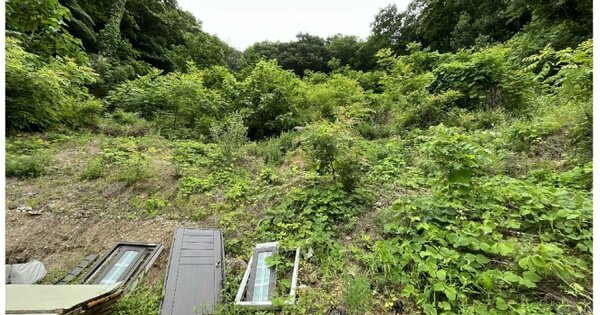 경기도 가평군 청평면 청평리 OOOO O OOO 대지 경매 물건 이미지