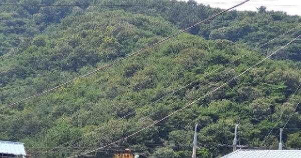 경상남도 창원시 마산합포구 진북면 추곡리 OOOO 임야 경매 물건 이미지