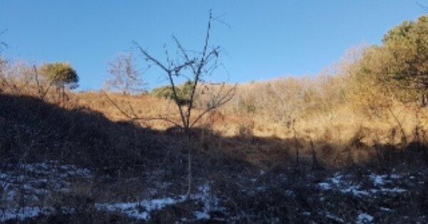 강원도 인제군 남면 수산리 OOOOO O OOOO 임야 경매 물건 이미지