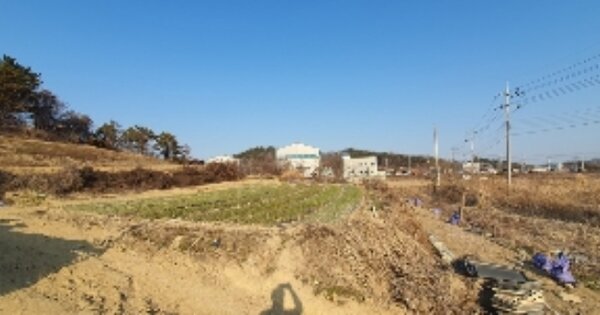 경상남도 함안군 칠서면 계내리 OOO 전 경매 물건 이미지
