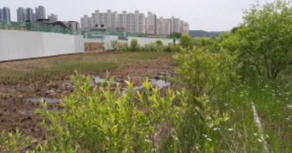 인천광역시 서구 불로동 OOOO 답 경매 물건 이미지