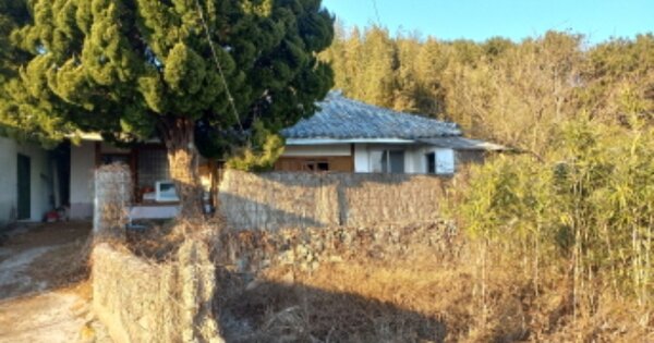 경상남도 거제시 장목면 송진포리 OOO O OOO 근린시설 경매 물건 이미지