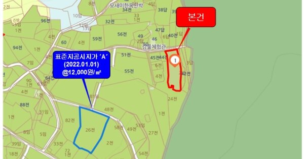 전라남도 무안군 현경면 수양리 OO 답 경매 물건 이미지