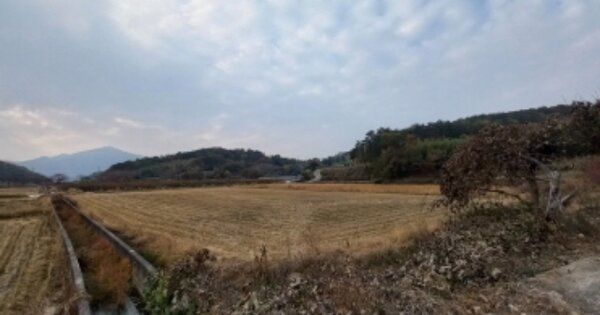 경상남도 사천시 서포면 다평리 OOOOO 답 경매 물건 이미지