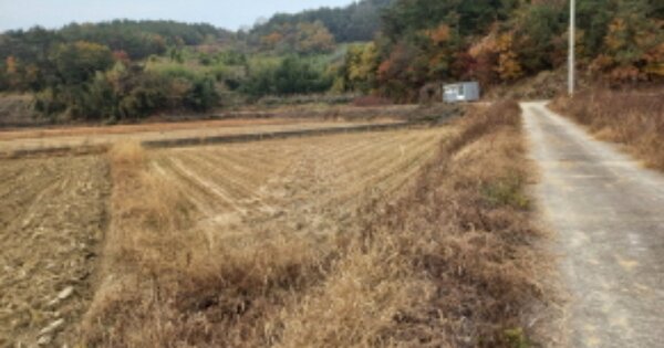 경상남도 사천시 서포면 다평리 OOOOO 답 경매 물건 이미지