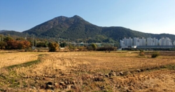 경상남도 창원시 진해구 소사동 OOOO O OOO 답 경매 물건 이미지