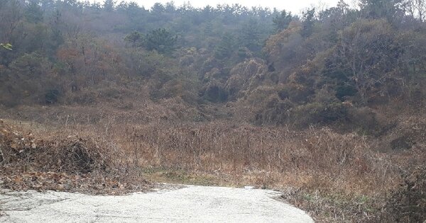 전라남도 고흥군 남양면 장담리 OOO 답 경매 물건 이미지