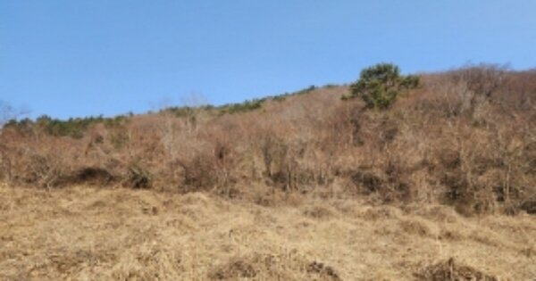 전라남도 여수시 화정면 개도리 OOO 전 경매 물건 이미지