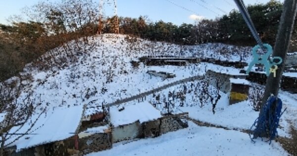 충청북도 제천시 송학면 도화리 OOOOO O OOO 임야 경매 물건 이미지