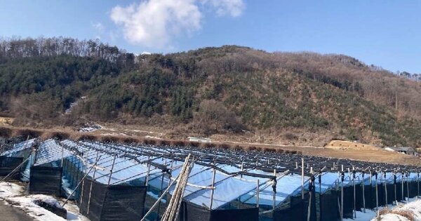 충청북도 제천시 백운면 방학리 OOO O OOO 전 경매 물건 이미지