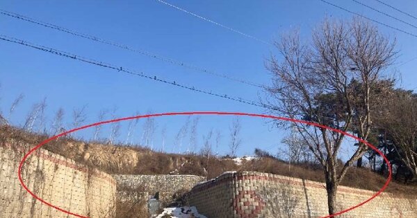 충청북도 제천시 송학면 포전리 OOOOO O OOO 임야 경매 물건 이미지