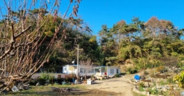 경상북도 경주시 감포읍 오류리 OOO O OOO 답 경매 물건 이미지