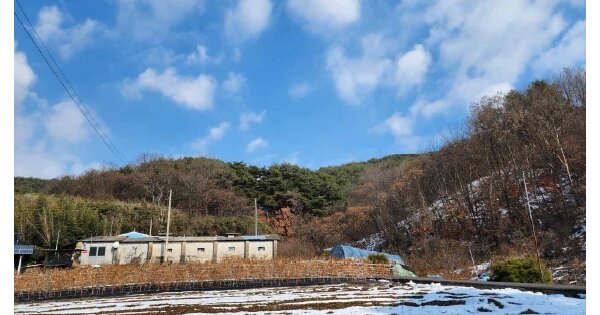 충청남도 서천군 문산면 구동리 OOOOO 임야 경매 물건 이미지