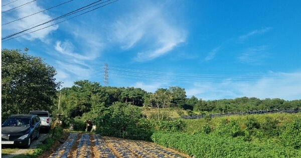 충청남도 계룡시 엄사면 유동리 OOOOO 임야 경매 물건 이미지