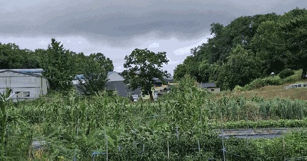 인천광역시 서구 금곡동 102  미지정 경매 물건 이미지