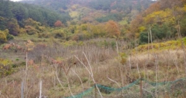 경상남도 고성군 하이면 사곡리 OO 답 경매 물건 이미지