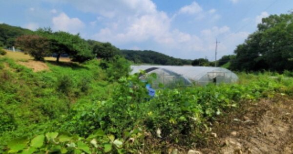 경기도 이천시 설성면 대죽리 OOO O OOO 단독주택 경매 물건 이미지