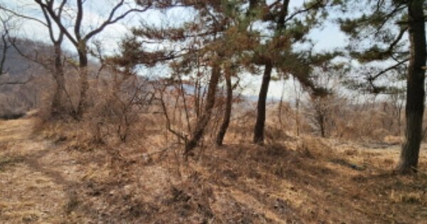 경기도 김포시 대곶면 율생리 OOO 임야 경매 물건 이미지