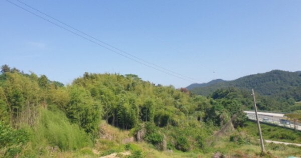전라남도 여수시 율촌면 취적리 OOOO 답 경매 물건 이미지