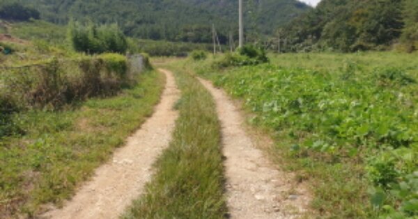 전라남도 보성군 득량면 도촌리 OOO 임야 경매 물건 이미지