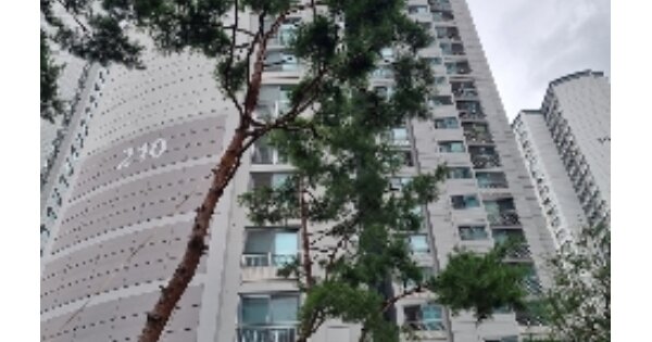 서울 송파구 신천동 17, 210동 OOOOOOOO OOOOOOOOOO O OOO 아파트 경매 물건 이미지